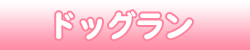 滋賀県彦根市 わんこの湯 フリードッグラン