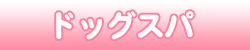 滋賀県彦根市 わんこの湯 ドッグスパ